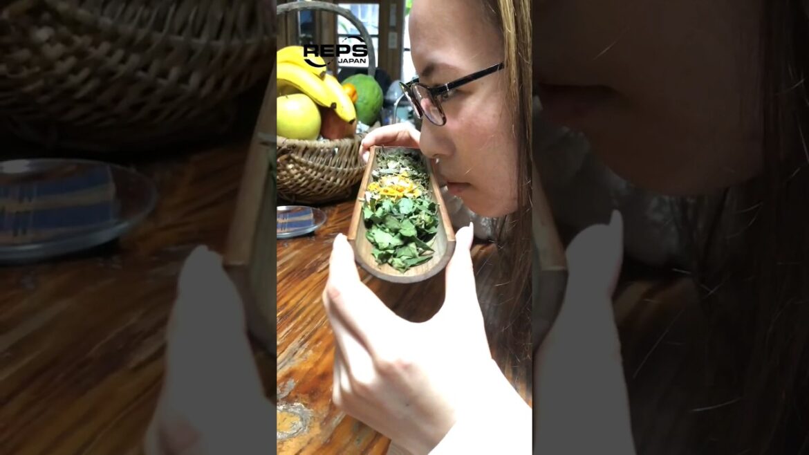 海外有名YouTuber(Drew Binsky)も紹介した沖縄のお茶屋🍵 | Okinawa tea shop #shorts 海外有名YouTuber(Drew Binsky)も紹介した沖縄のお茶屋🍵 | Okinawa tea shop #shorts