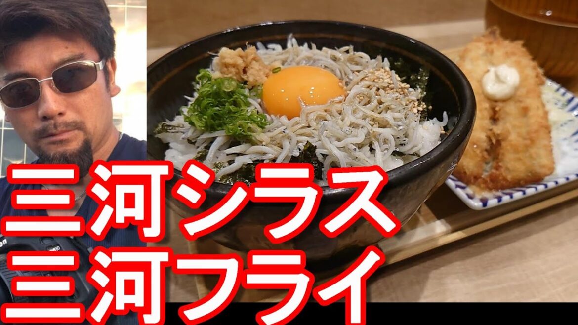 新(第二)東名高速道路！岡崎SAの三河丸で三河シラス丼と三河フライ！矢場とんやラーメン屋、蕎麦やうどん店があるSA！OKAZAKI-SA on Shin-Tomei express way,Japan