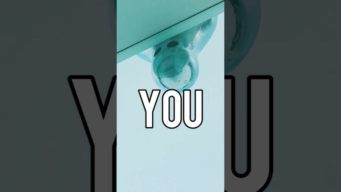 Toilet ‘STALKER’ in #Japan #weird