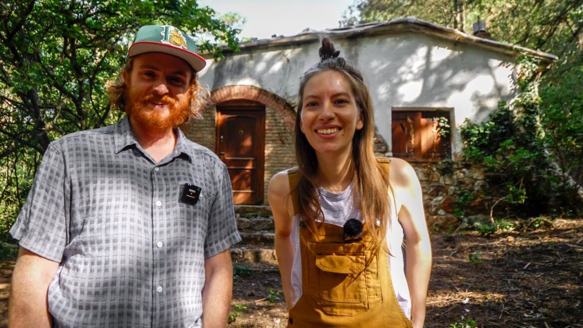 This is How YOU Can Help Us with the Hotel Renovation 🙏🏚️ This is How YOU Can Help Us with the Hotel Renovation 🙏🏚️