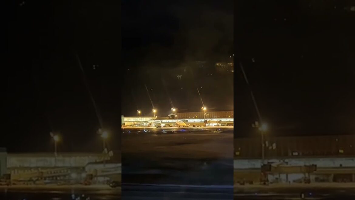 Delightful snow #shorts #asmrsounds #night