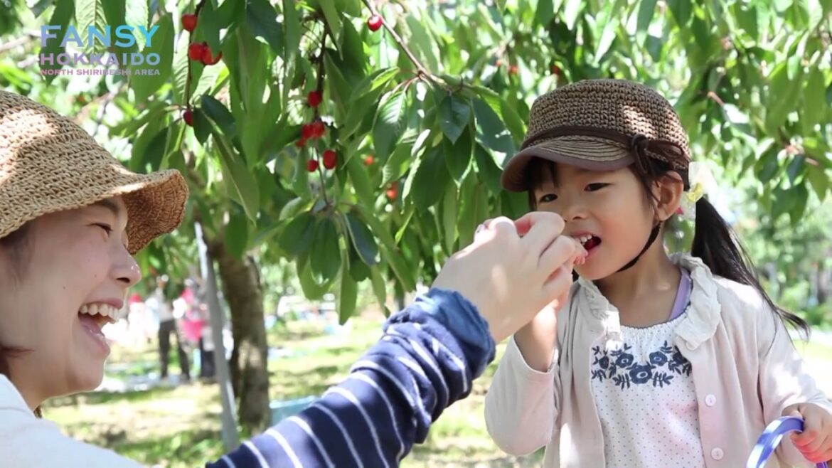 FANSY HOKKAIDO FANSY HOKKAIDO