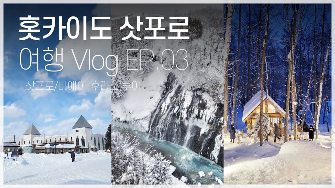 [홋카이도 삿포로 여행 Vlog EP03] 삿포로 쇼핑 | 비에이-후라노 투어 | 사진 스팟 | 일본 편의점 털기