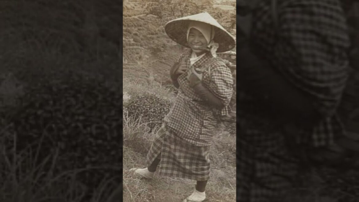 Japaner auf Fotos von vor 100 Jahren ,Frau arbeitet in einer Teeplantage,　#shorts