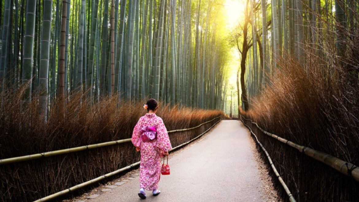 Unique holidays To Experience Once In Your Lifetime - Trip to trip