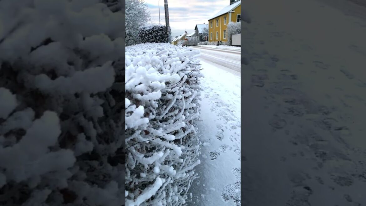 Winter in Sweden | Snow | Snowing | Travel in Sweden | Vasteras | Stockholm Winter in Sweden | Snow | Snowing | Travel in Sweden | Vasteras | Stockholm