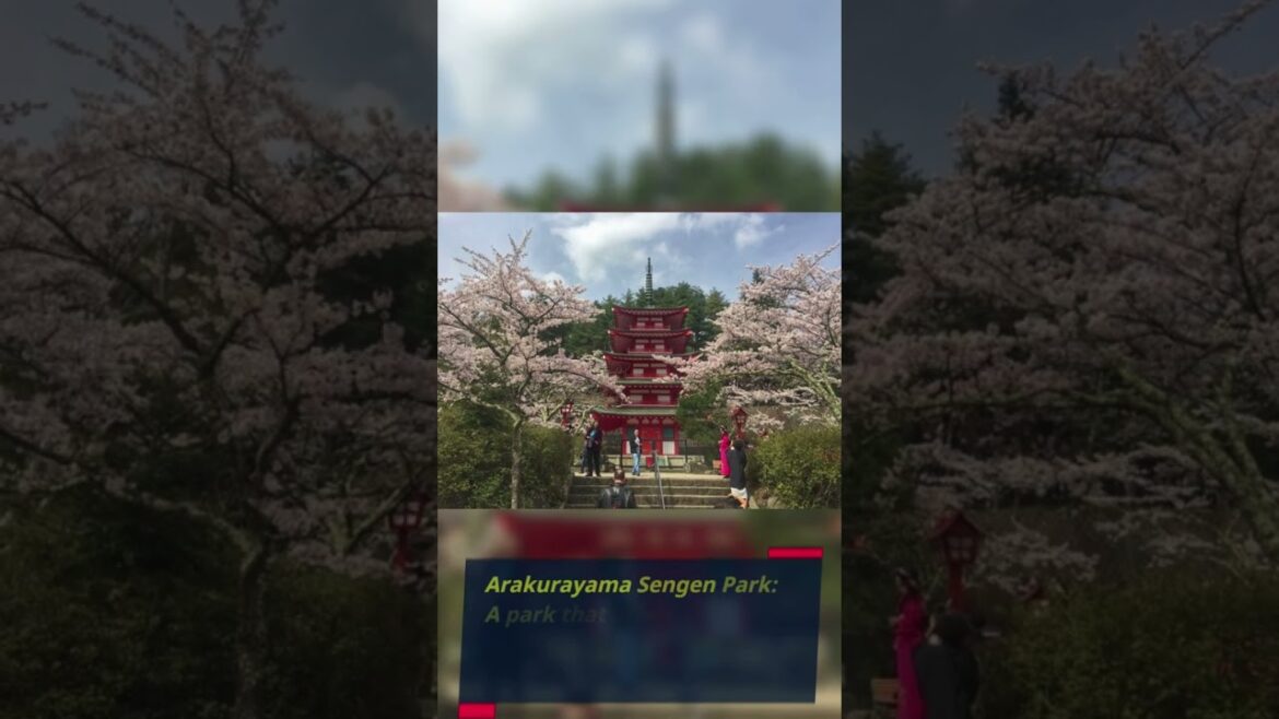 Place Must-visit in Mt. Fuji Japan