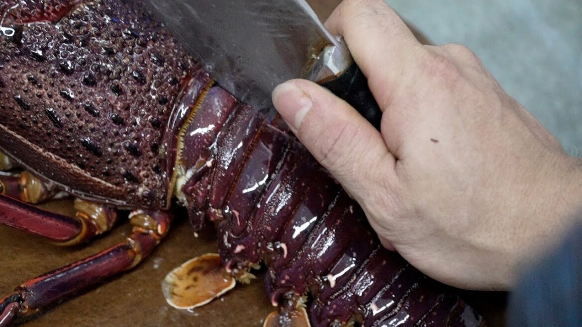 Giant AUSTRALIAN LOBSTER TAIL Gourmet Seafood Recipes + Juicy Beggar's Chicken Cooked in MUD! Giant AUSTRALIAN LOBSTER TAIL Gourmet Seafood Recipes + Juicy Beggar's Chicken Cooked in MUD!