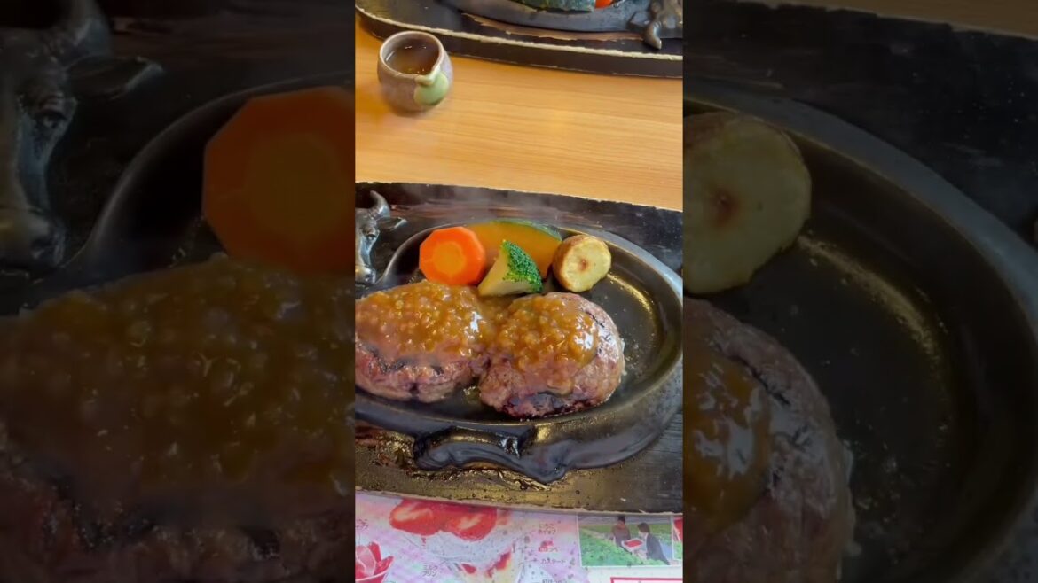 浜松の観光名所を巡る #さわやかハンバーグ #どうする家康 #大河ドラマ #竜ヶ岩洞 #スイーツバンク