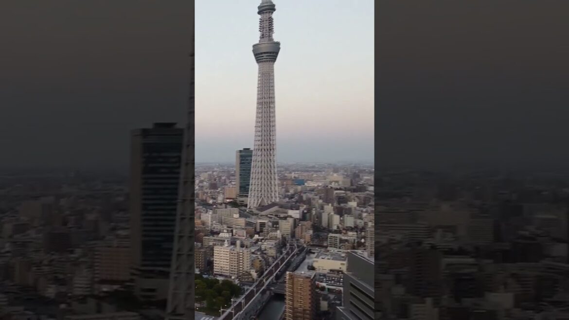 beautiful view of tokyo city- Japan 🇯🇵  #tokyo #japan #shorts #subscribe #fyp #pourtoi #fypシ beautiful view of tokyo city- Japan 🇯🇵  #tokyo #japan #shorts #subscribe #fyp #pourtoi #fypシ