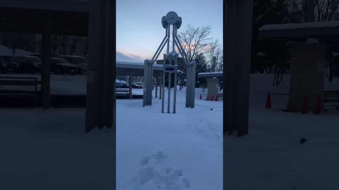 北海道札幌雪たくさん #trending #viral #shorts #日本 #北海 #viralshorts #travel #japan #sapporo