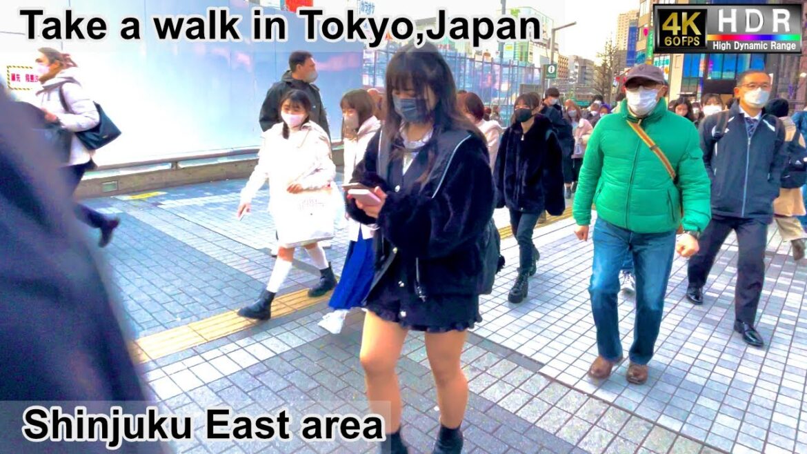 4K 60fps HDR// Take a walk in Tokyo, Japan,Shinjuku Sta→Shinjuku Sta East area→Shinjuku dori avenue 4K 60fps HDR// Take a walk in Tokyo, Japan,Shinjuku Sta→Shinjuku Sta East area→Shinjuku dori avenue