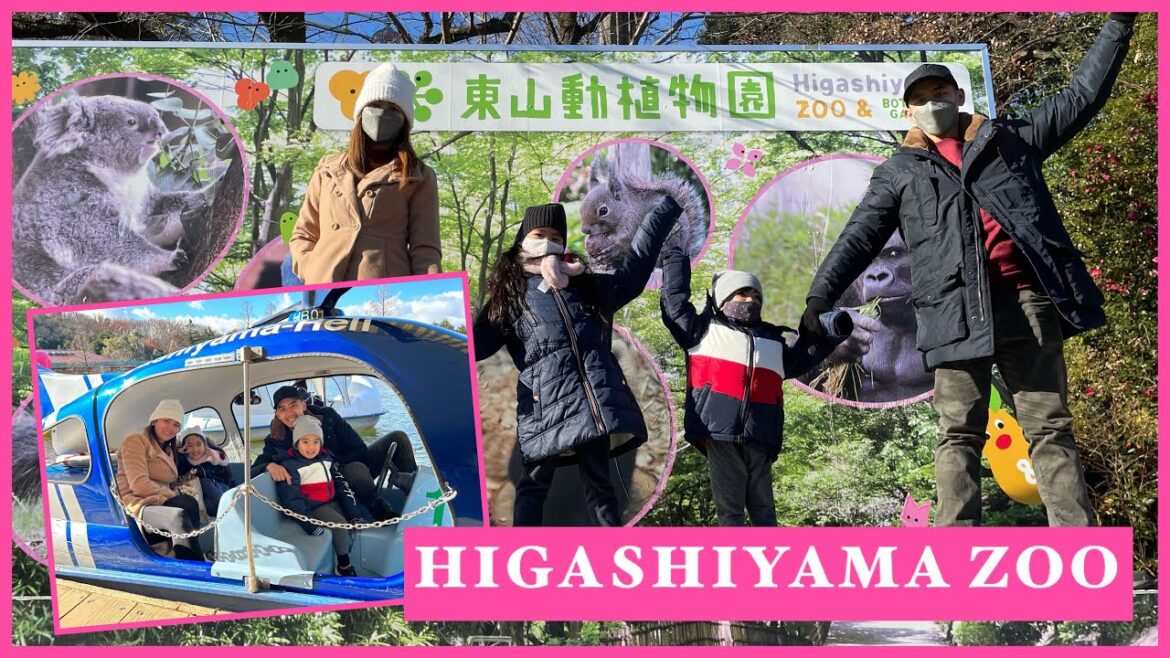 HIGASHIYAMA ZOO | 東山動物園 | NAGOYA | JAPAN | Raine Dione: Japan Diaries