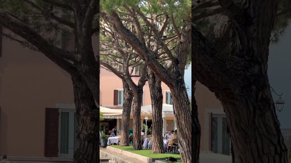 📍Desenzano sul Garda, Italy 🇮🇹 #shorts #desenzano #lakegarda