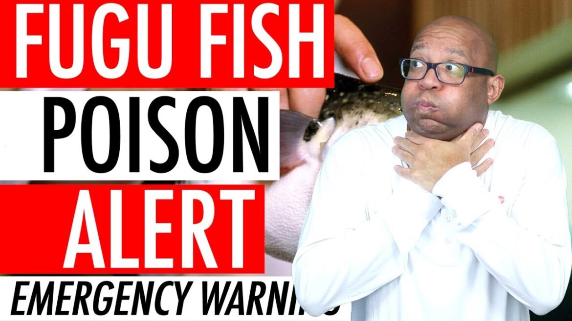 Fugu Puffer Fish Poison Alert 2018 – Deadly Blowfish Recall Activates Japan Emergency Warning ๐ก โ ๏ธ Fugu Puffer Fish Poison Alert 2018 - Deadly Blowfish Recall Activates Japan Emergency Warning ๐ก โ ๏ธ
