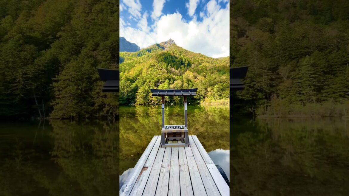 ⛩Secret shrine in a forest. Visit japan before it's too famous 🇯🇵 #beautifulnature #japan