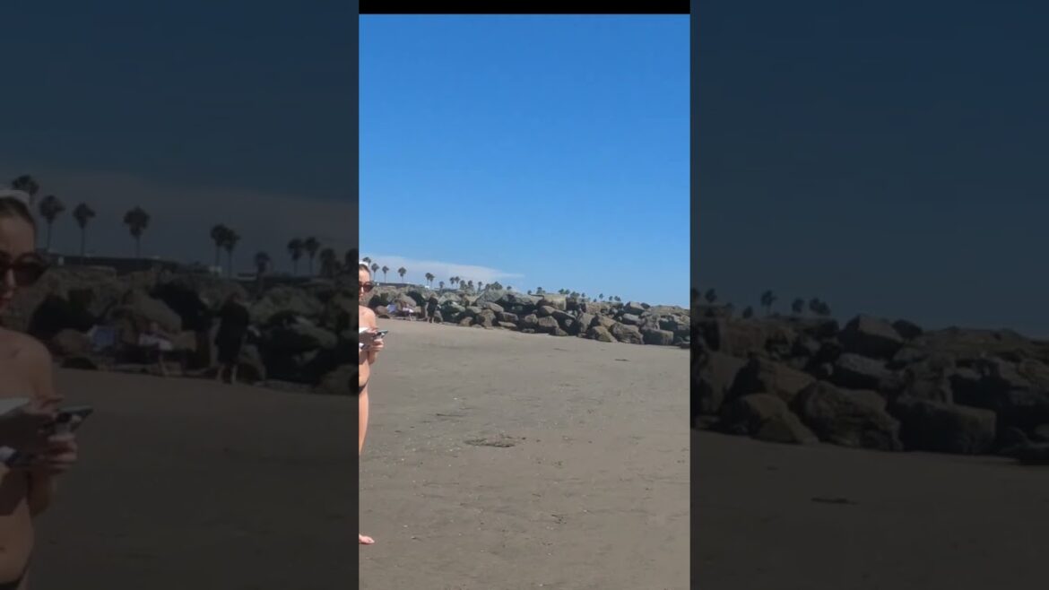 🏖VENICE BEACH CALIFORNIA🇺🇸 #shorts