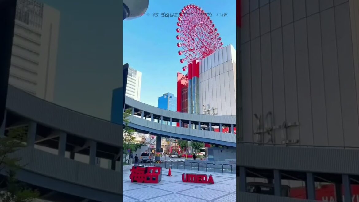 Osaka #2023 #explore #youtubeshorts