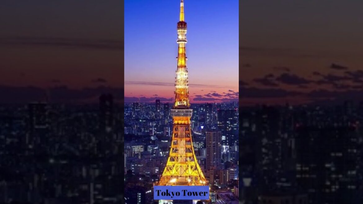 Things to do in Japan!  #shorts