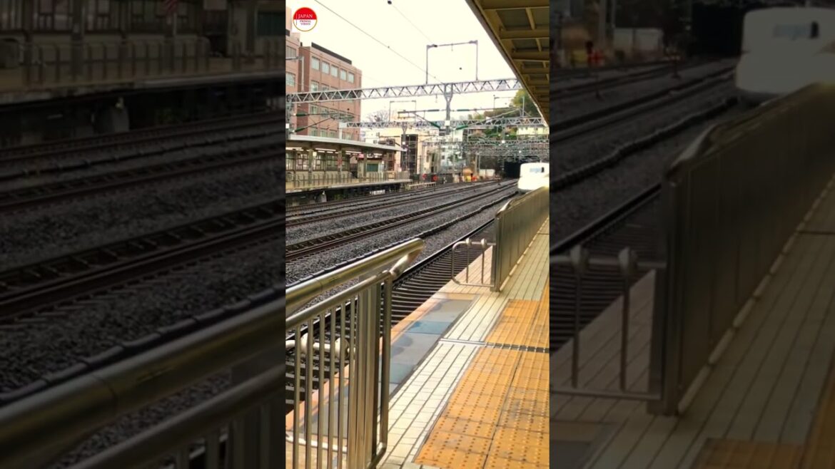 How Fast Shinkansen Passes By How Fast Shinkansen Passes By