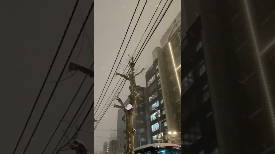 Travel, Sapporo, Hokkaido, Japan, 2023. Japan Travel Travel, Sapporo, Hokkaido, Japan, 2023. Japan Travel