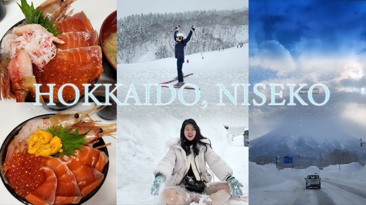 Hokkaido ski trip 홋카이도 스키여행: Niseko,니세코