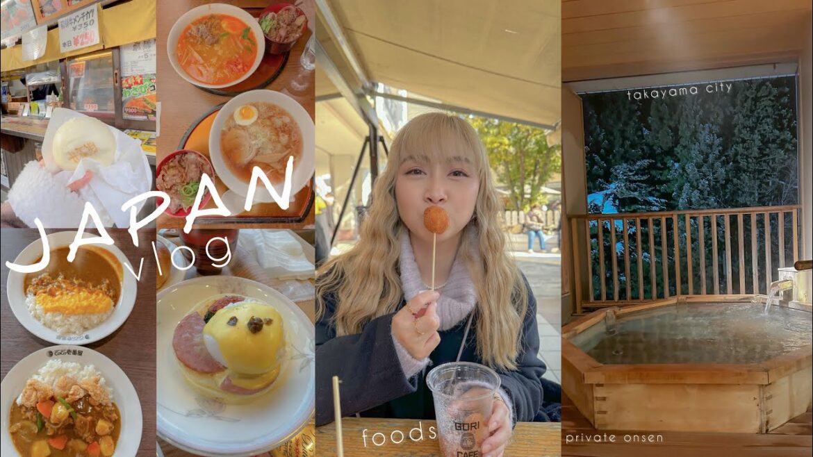 JAPAN vlog | food trip & best hotel at Takayama city, Nagashima spa land, private onsen