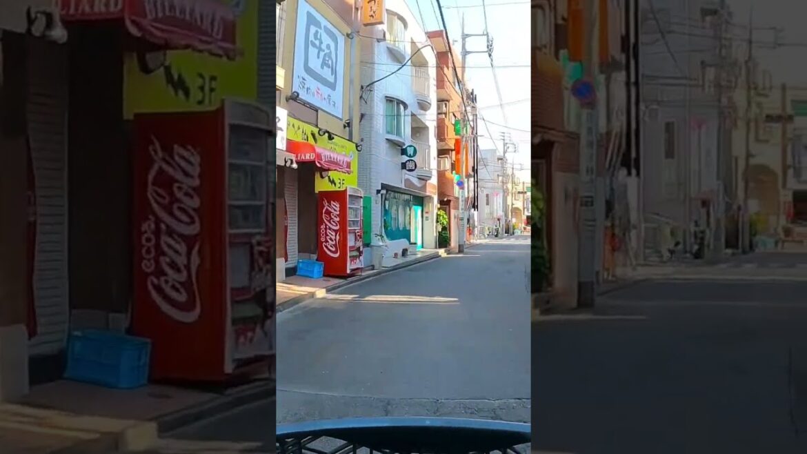 Sunny Morning to Yokohama #shorts #japan