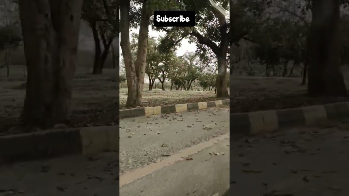 guess the place #shorts #viral #ashortaday guess the place #shorts #viral #ashortaday