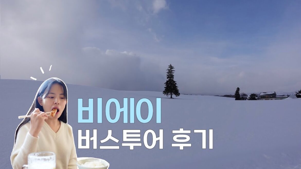 EP.2 홋카이도 비에이 버스 투어 솔직한 후기😉❄️ㅣ준페이x, 비에이 맛집, 날씨, 삿포로 여행 EP.2 홋카이도 비에이 버스 투어 솔직한 후기😉❄️ㅣ준페이x, 비에이 맛집, 날씨, 삿포로 여행