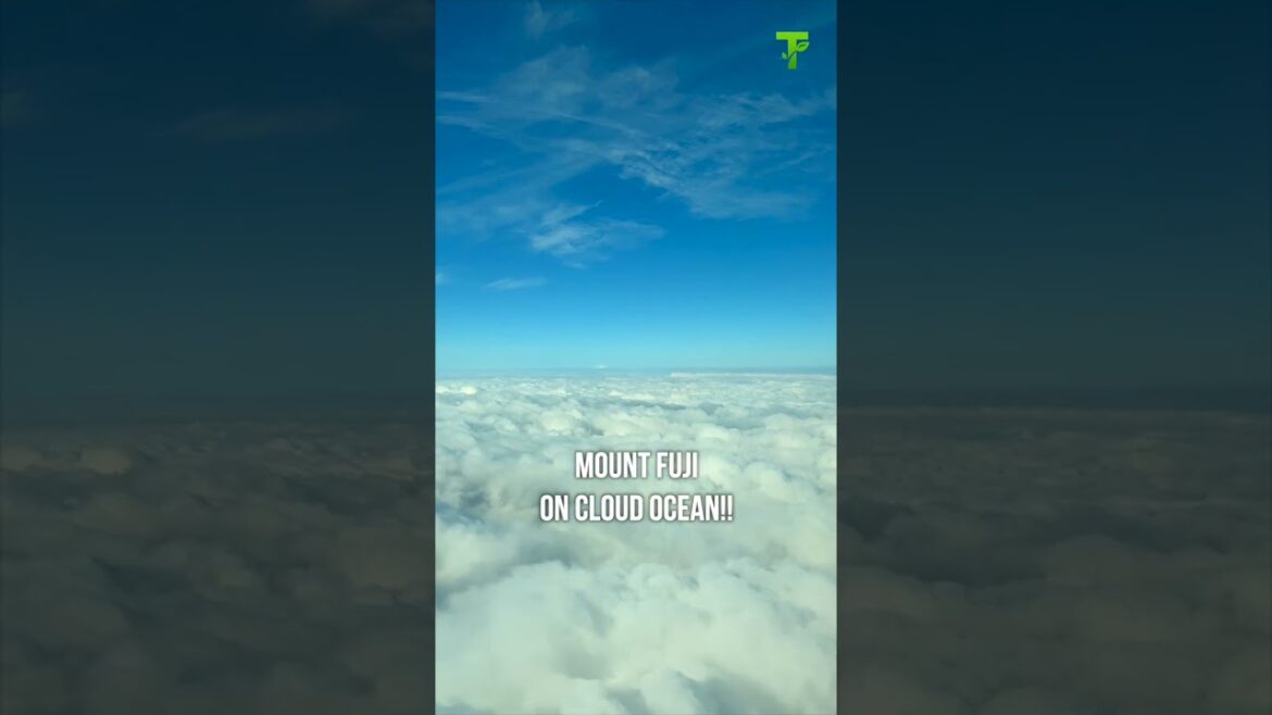 Mount Fuji on Cloud Ocean #shorts #japan #mountfuji #fujisan #flight