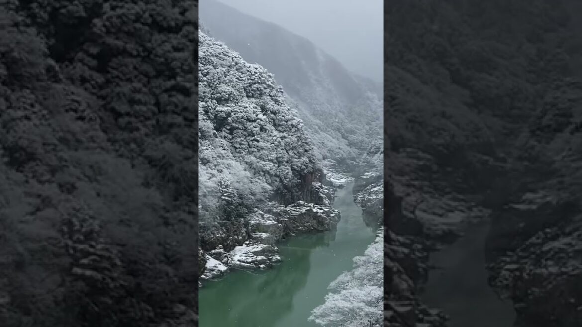 A scenic train running into Shikoku #shorts
