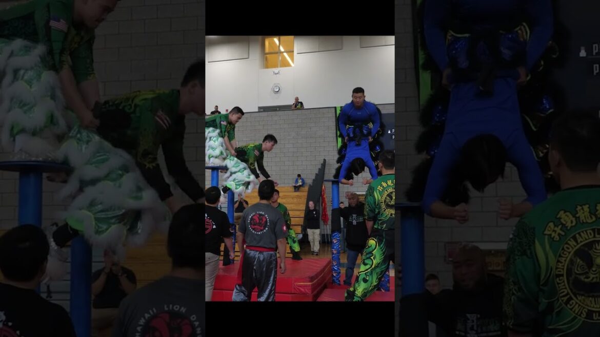 USDLDF Acrobatic Lion Dance Jongs high poles practice múa lân tarian singa #liondance #mualan #舞狮 USDLDF Acrobatic Lion Dance Jongs high poles practice múa lân tarian singa #liondance #mualan #舞狮