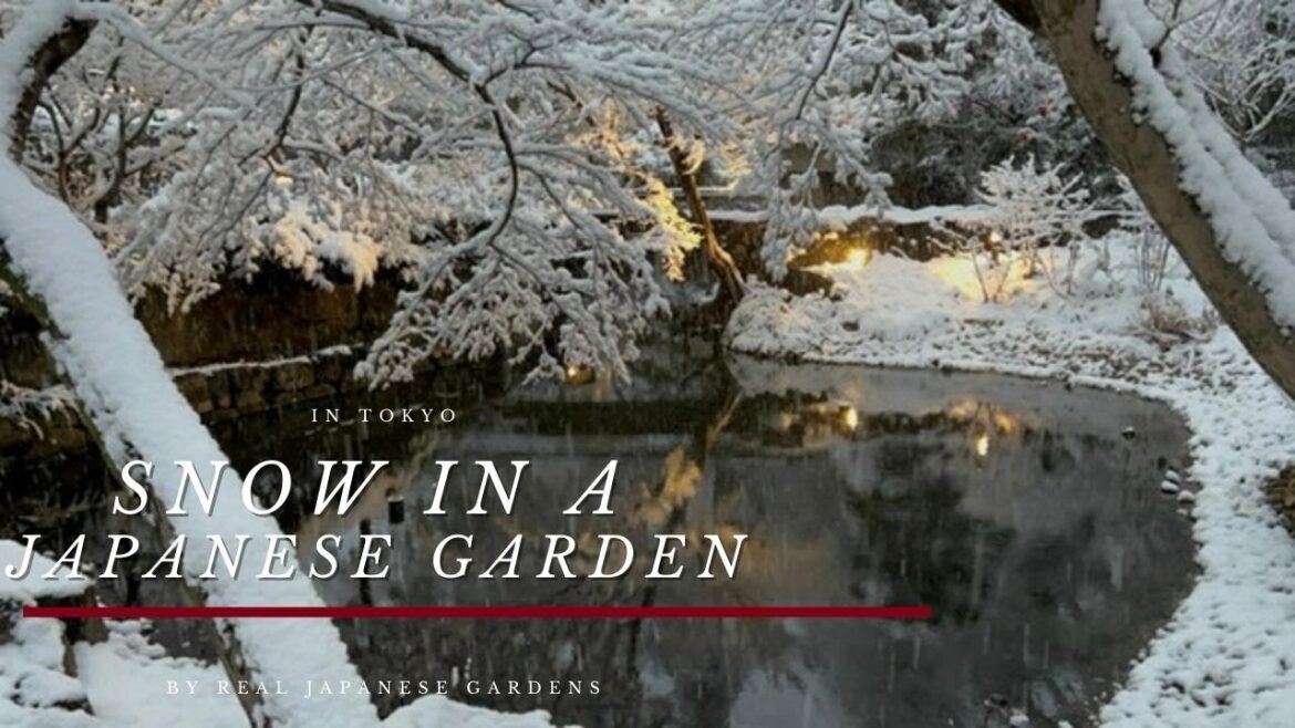 Snow in a Japanese Garden - Tokyo 2022