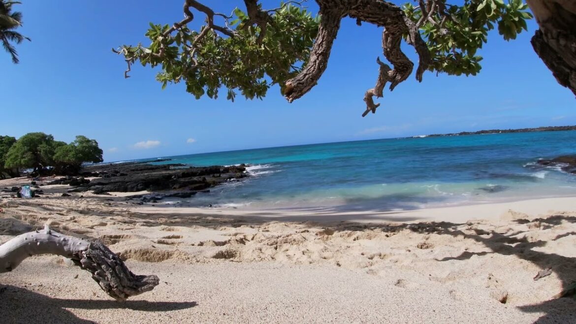 Ocean Wave Relaxing Sounds from Hawaii