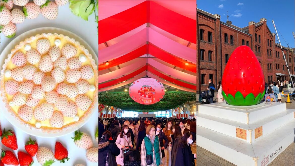 Strawberry Festival in Yokohama Japan