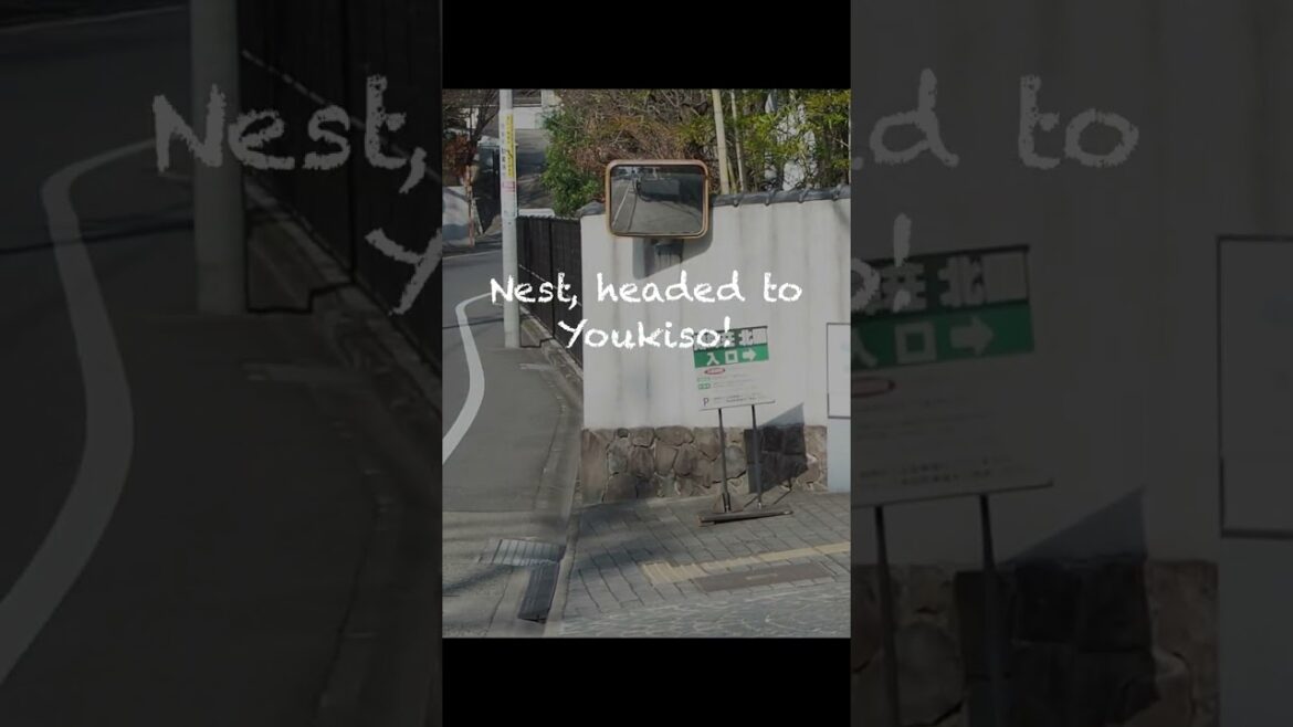 #shorts Nagoya Walking Tour -Kakuozan-