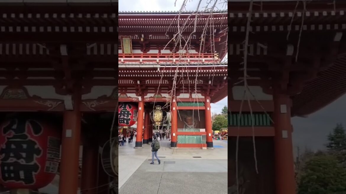 Things to do in Tokyo, Japan Part 2: Asakusa Temple#shorts #tokyo #japan