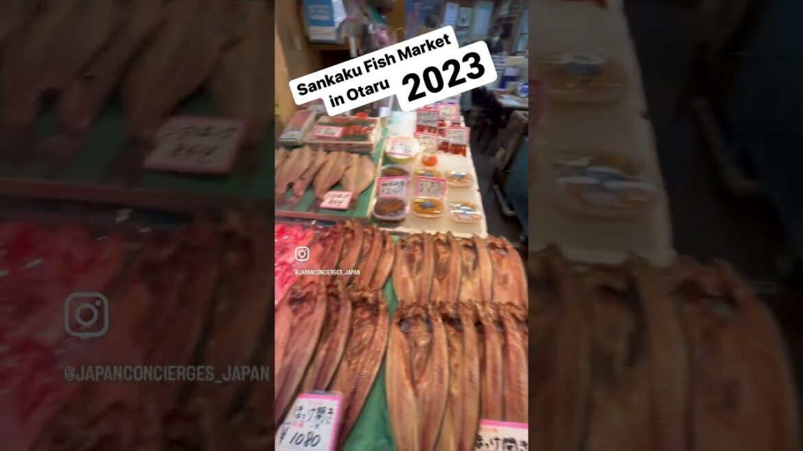 Fish market crowded at 10h30 in Otaru 2023 #hokkaido #otaru #fishmarket