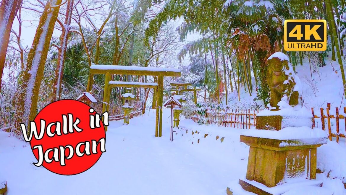 Snowy 1200-year-old Keyaki Tree and Japanese Shrine (4K 60FPS)