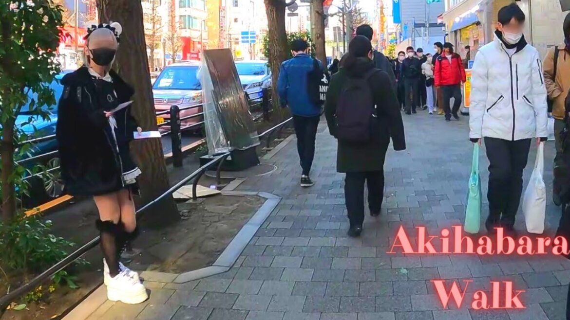 Akihabara, Tokyo, Japan walking tour.【4K】1.2023 Akihabara, Tokyo, Japan walking tour.【4K】1.2023