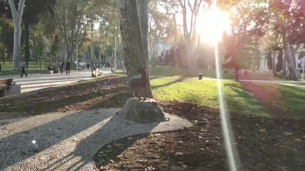 Explore the Hidden Treasures of Turkey! 2023 Gulhane Walking Tour Explore the Hidden Treasures of Turkey! 2023 Gulhane Walking Tour