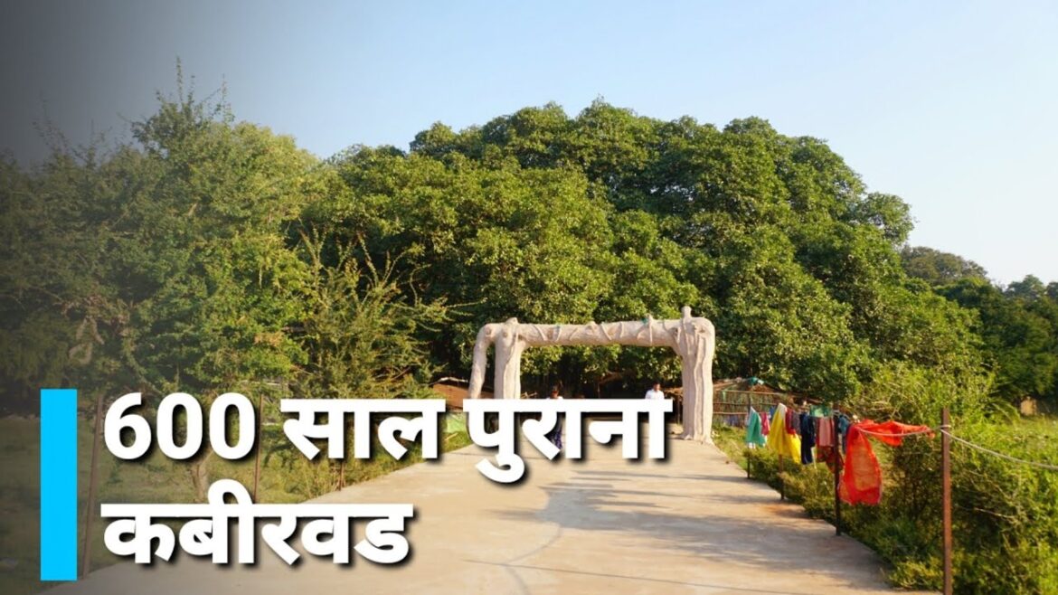 कबीरवड का इतिहास – Walking in Kabirvad – Kabirvad bharuch कबीरवड का इतिहास - Walking in Kabirvad - Kabirvad bharuch