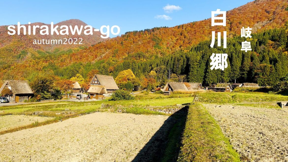 ［Autumn2022]Shirakawa-go The most beautiful village in Japan