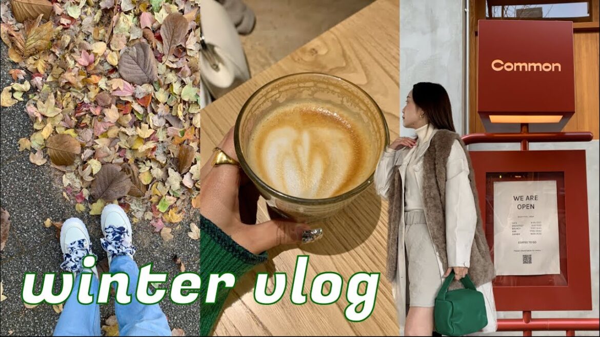TOKYO WINTER VLOG | life in the city, restaurants & cafe gatherings, movie night🍿 忘年会シーズン、忙しない年末年始。 TOKYO WINTER VLOG | life in the city, restaurants & cafe gatherings, movie night🍿 忘年会シーズン、忙しない年末年始。