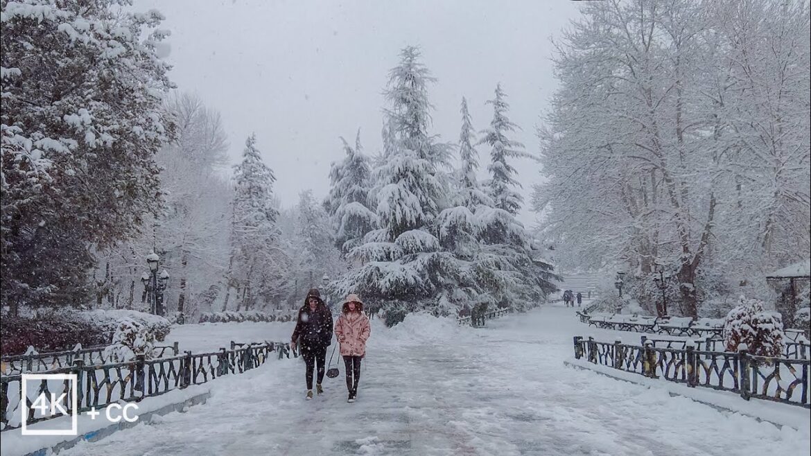 TEHRAN, IRAN 2023 | 4K Snowy View of Mellat Park ❄️ تهران، پارک ملت برفی TEHRAN, IRAN 2023 | 4K Snowy View of Mellat Park ❄️ تهران، پارک ملت برفی