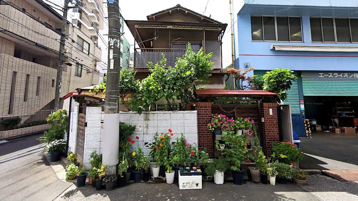 Tokyo Tuesday Vibes: Asakusa to Nippori! | JAPAN LIVE STREAMS 2023