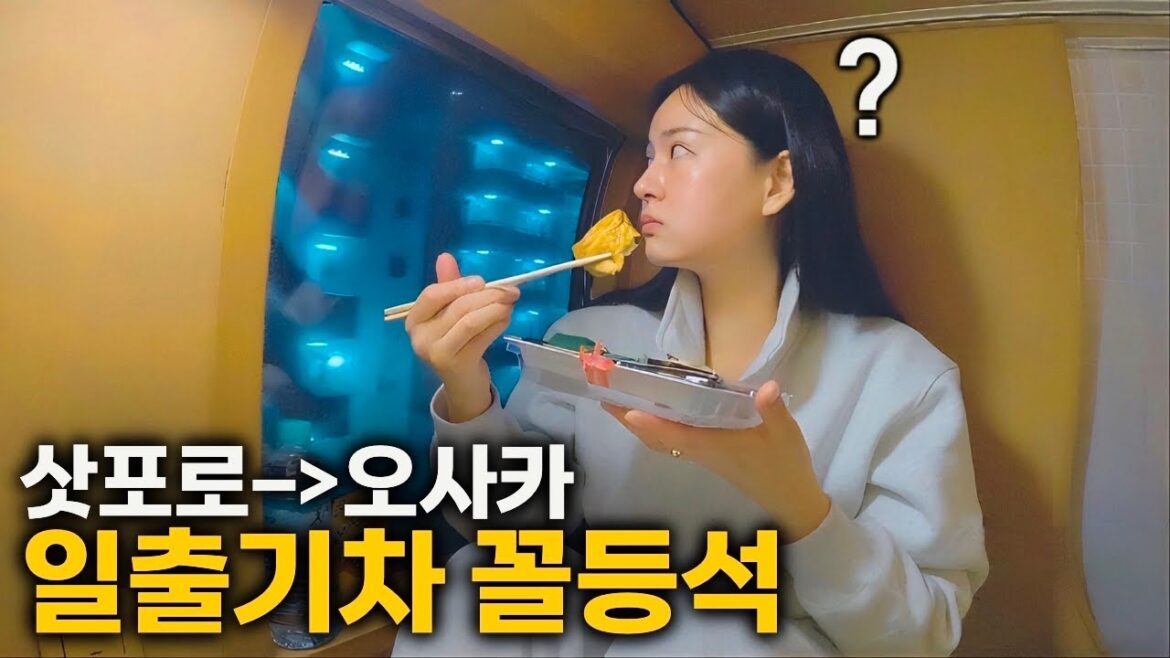 예약하기 힘든 일본 일출열차 꼬리칸 숙식기 (마지막 이야기) - [🇯🇵일본72]