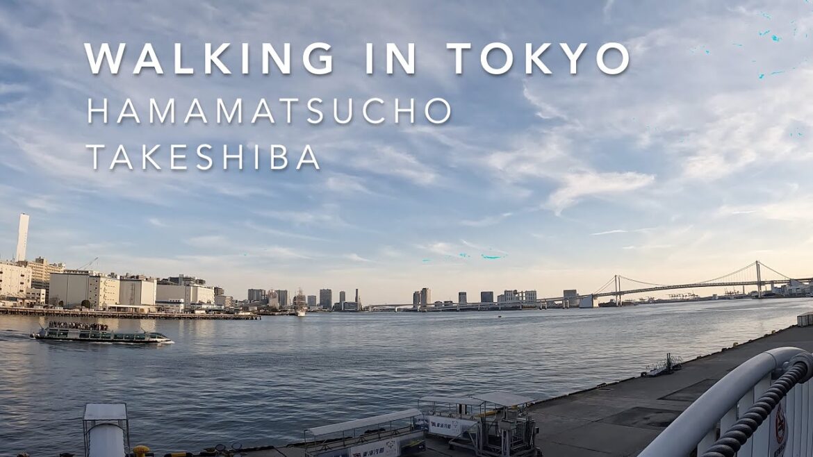 WALKING IN TOKYO/HAMAMATSUCHO TAKESHIBA