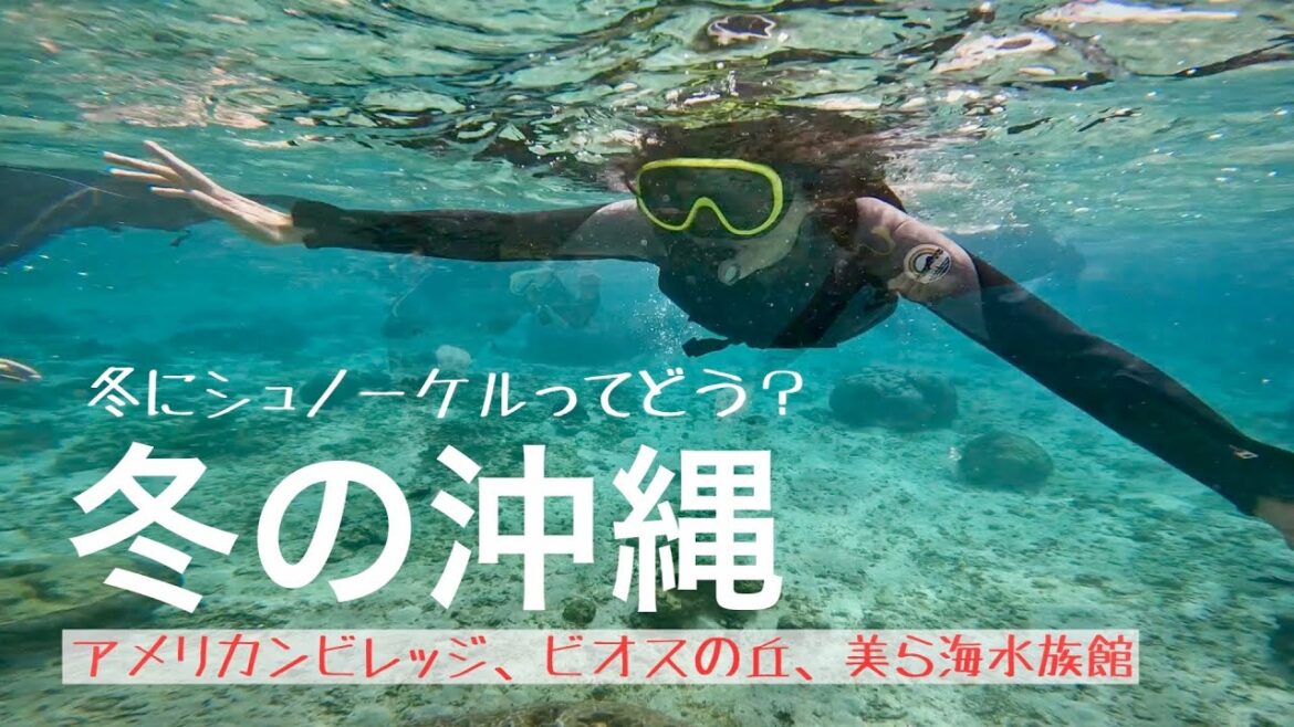 【暖かいの?】冬の沖縄、ベッセルホテルカンパーナ沖縄泊/アメリカンビレッジ、美ら海水族館、ビオスの丘、沖縄グルメ【冬の沖縄2泊3日旅】 【暖かいの?】冬の沖縄、ベッセルホテルカンパーナ沖縄泊/アメリカンビレッジ、美ら海水族館、ビオスの丘、沖縄グルメ【冬の沖縄2泊3日旅】